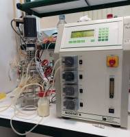 Fermentor Biostat B (2 liters) used for LbL encapsulation scale up